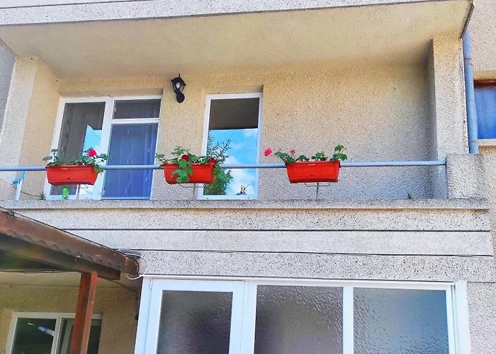 сиракови Черноморец